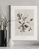 grafiki i ilustracje Plakat Jeżyny - Fine Art Print 2