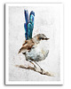 obrazy OBRAZ NA PŁÓTNIE -AKWARELOWY PTASZEK 40x60cm 1