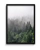 plakaty Panorama Lasu - trzy plakaty 2