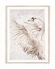 obrazy i plakaty do pokoju dziecięcego Plakat na ścianę łabędź - Swan Vintage 2