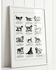 plakaty PLAKAT rasy psów, pies vintage ilustracja, prezent z psem, grafika psy 1