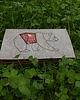 portfele damskie Portfel - niedźwiedź 1