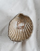 pojemniki na biżuterię Miseczka COQUILLAGE 2