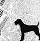 broszki  FeltDog10 2