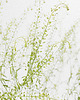 kolczyki pozłacane Kolczyki pozłacane z konwalią i zielonym granatem Inner Bloom 2