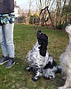 torby i nerki męskie Saszetka nerka torebka 1