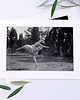 fotografia Fotografia z passe-partout: Balet 2