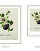 plakaty Plakat do kuchni, avocado 2