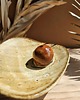 Podstawki pod kadzidełka Podstawka ceramiczna na Palo Santo i kadzidełko "Joshua Tree" 4