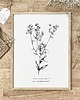 grafiki i ilustracje Zestaw dwóch grafik botanicznych - papier COFFE - eko 1
