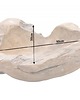 miski i misy Misa teakowa Wood Plate 50cm 5