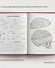 kalendarze i plannery Planer Anatomiczny 7