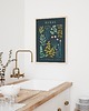 plakaty Plakat botaniczny "Herbs" 30x40 1
