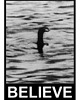 plakaty Plakat Loch Ness Monster 1