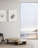 grafiki i ilustracje Muszle - Komplet 3 wydruków 8