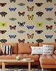 tapety i naklejki ścienne Butterfly 2