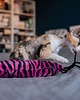 Zabawki dla zwierząt Zabawka dla kota kopacz kick & hug ze sznureczkami i kocimiętką ZEBRA RÓŻOWA 5