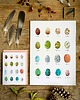 grafiki i ilustracje Jajka - grafika- ilustracja- plakat- eggs 2