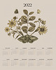 grafiki i ilustracje Botanical Kalendarz 2022 50 x 70 1
