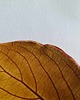 pojemniki na biżuterię Podstawka ceramiczna liść 4