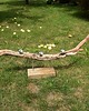 świeczniki i świece Świecznik drewniany, stara deska loft japandi /17/ rękodzieło handmade 2