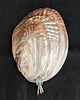 kolczyki z kamieniami Kolczyki z akwamarynem i perłami naturalnymi, srebro, biżuteria handmade 2
