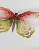 plakaty Plakat Różowy Motyl 1