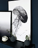 plakaty Plakat Meduza roz. 61x91 cm 4