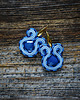kolczyki soutache Niebieskie kolczyki soutache 1