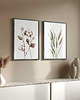 obrazy Bawełna i Pampas Grass - Zestaw dwóch grafik botanicznych 2