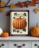 plakaty PLAKAT vintage dekoracja dynia jesienna 2
