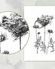 grafiki i ilustracje Aminek 2  - grafika botaniczna 3
