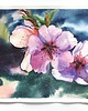 obrazy "Akwarelowy kwiat" 27.3*39.5cm/ akwarela 1