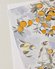 plakaty Plakat- Drzewo cytrynowe 3