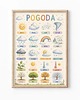 obrazy i plakaty do pokoju dziecięcego Plakat edukacyjny POGODA dla chłopca 1