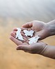 broszki Broszka Porcelanowa Origami Pies Siedzący Biały 4
