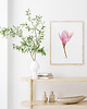 grafiki i ilustracje Magnolia, grafika, akwarela 2