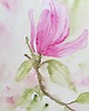obrazy Akwarela Kwiat Magnolii oryginalny obraz A5 21x13 cm 4