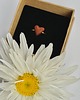 pierścionki - różne Pierścionek Mini HeArt 3