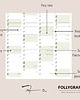 kalendarze i plannery Planer szkolny 2026/2027 ścienny - Polskie Święta, Niedz. Handl. 70x100 2