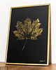 grafiki i ilustracje Autorska Grafika Botaniczna. Złoty Plakat Liść Klonu 20x30cm. Złota Rama Alu 1