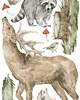 naklejki ścienne do pokoju dziecka Naklejki na ścianę dla dzieci - FOREST DEER 1