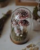 figurki i rzeźby Dekoracja z grzybami - szklany klosz kopułka z muchomorami 4