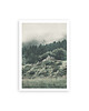 plakaty forest fog fotografia plakat 2