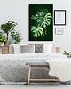 obrazy Obraz na płótnie ROŚLINKA MONSTERA 70x100cm 1