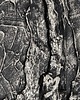 obrazy Obrazy do salonu -  metaliczny srebrna płaskorzeźba 80x160cm 2