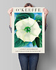 plakaty Georgia O'Keeffe - Exhibition Poster 1