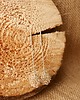 kolczyki srebrne Długie kolczyki srebrne Anthill 1