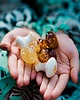 akcesoria dla niej CRYSTALLOVE Grzybek do masażu twarzy z bursztynu mlecznego 1