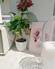 plakaty Plakat Pink Lemonade SUMMER 4